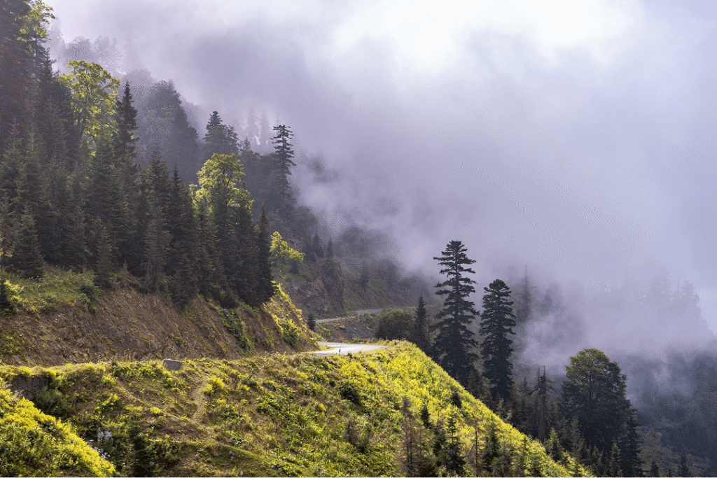 Glimsy Feature Img 4 1 1024x683